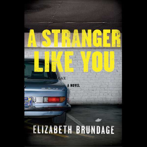 A Stranger Like You: A Novel , Hörbuch, Digital, ungekürzt, 508min