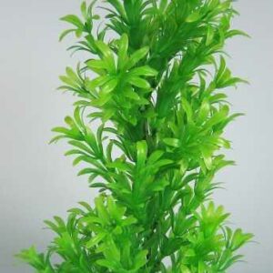 Orbit Aquapflanze Deluxe medium Nr. 16 18 - 22 cm