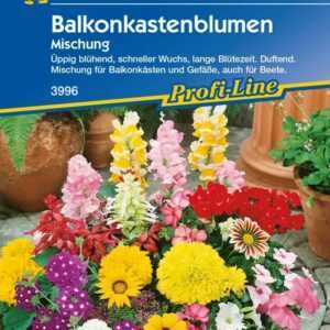 Kiepenkerl Balkonkastenblumen Inhalt: 2 m Balkonkast.