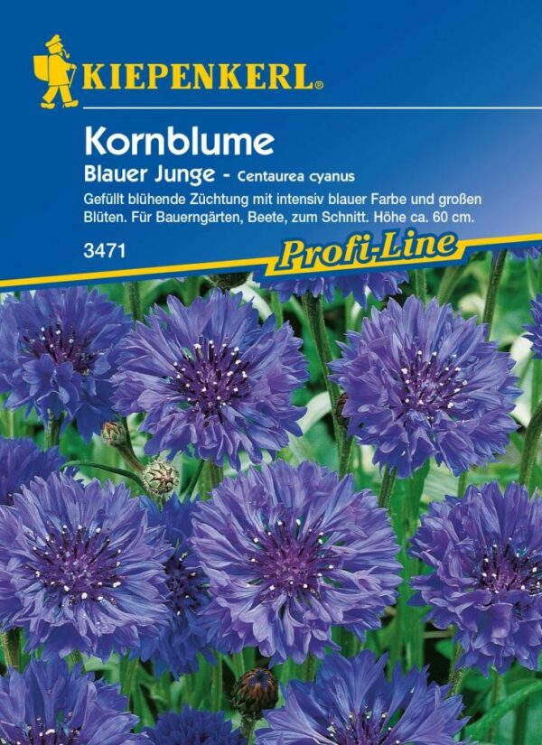 Kiepenkerl Kornblume Blauer Junge Centaurea cyanus, Inhalt: ca. 60 Pflanzen