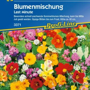 Kiepenkerl Last Minute Blumenmischung Inhalt: 4 m²