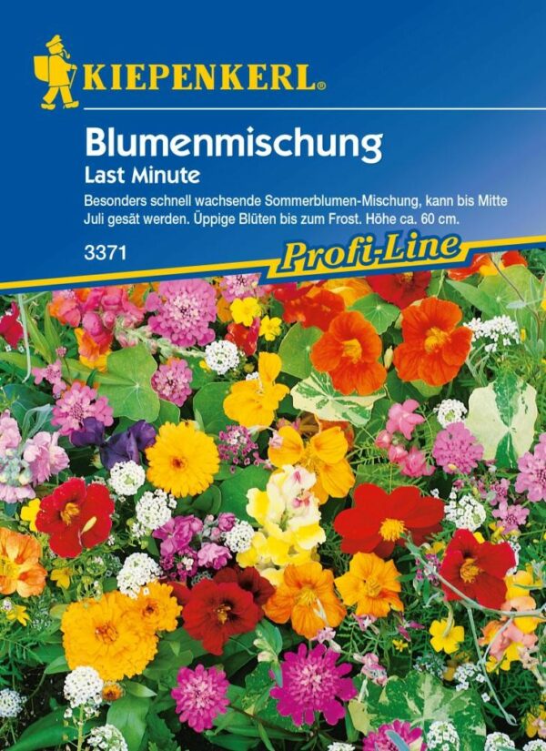 Kiepenkerl Last Minute Blumenmischung Inhalt: 4 m²