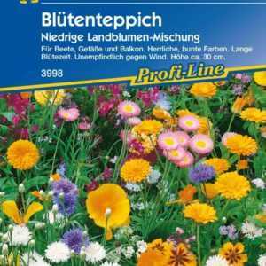 Kiepenkerl Saatgut Blütenteppich 2 m²