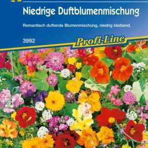 Kiepenkerl Saatgut Duftblumenmischung 2-4 m²