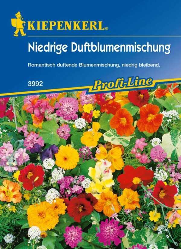 Kiepenkerl Saatgut Duftblumenmischung 2-4 m²