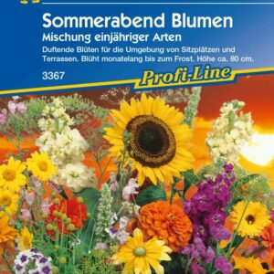 Kiepenkerl Saatgut Sommerabend Blumen 2-3 m²