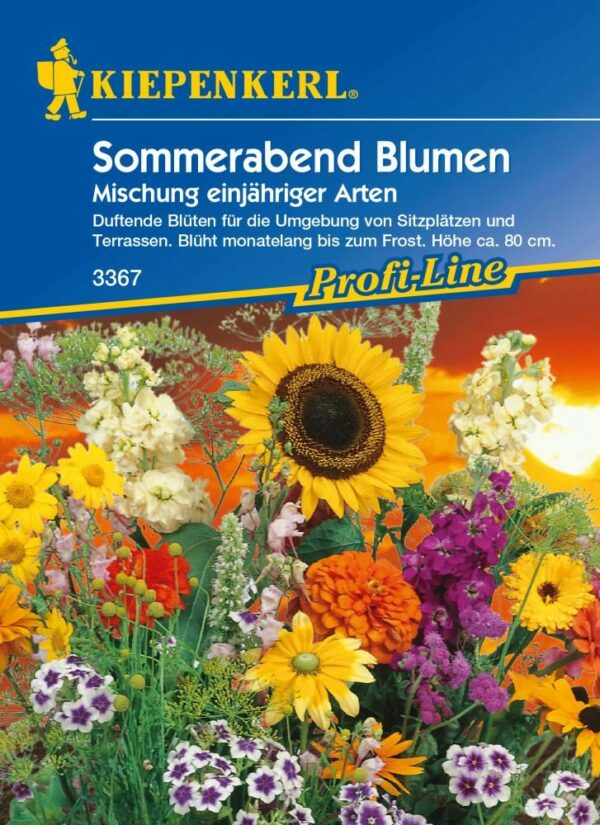 Kiepenkerl Saatgut Sommerabend Blumen 2-3 m²