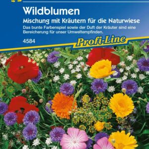 Kiepenkerl Saatgut Wildblumen 2-3 m²