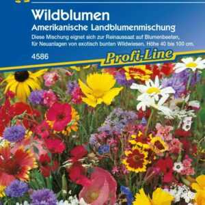 Kiepenkerl Saatgut Wildblumen 8 m²