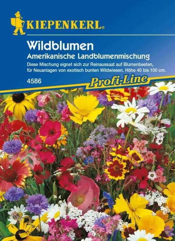 Kiepenkerl Saatgut Wildblumen 8 m²