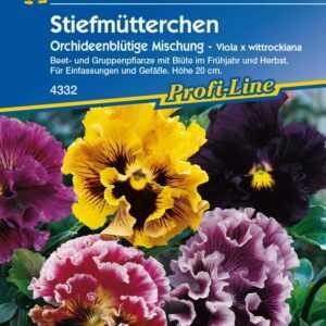 Kiepenkerl Stiefmütterchen Orchideenblütige Mischung Viola x wittrockiana, Inhalt: ca. 40 Pflanzen