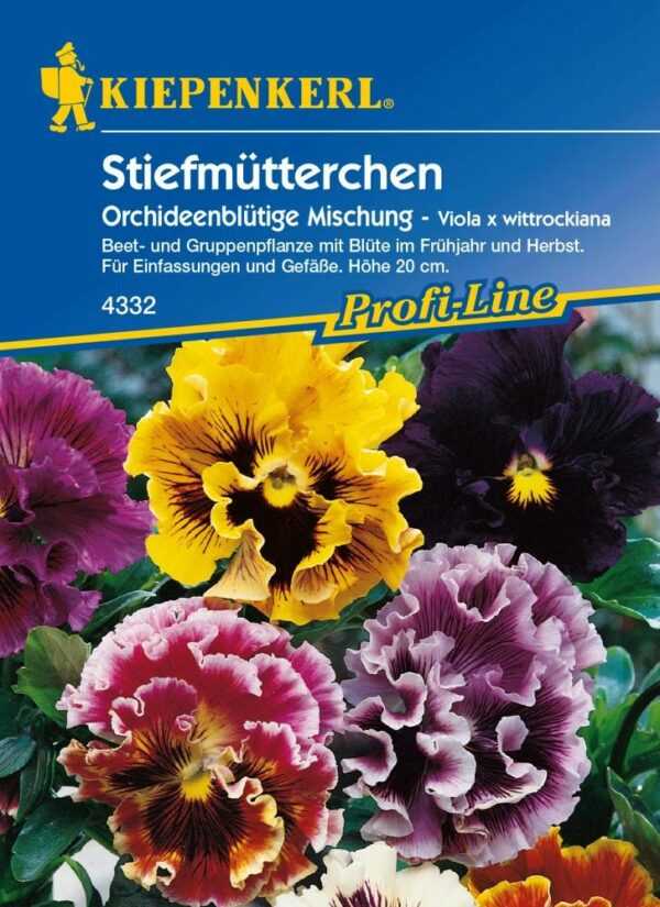 Kiepenkerl Stiefmütterchen Orchideenblütige Mischung Viola x wittrockiana, Inhalt: ca. 40 Pflanzen