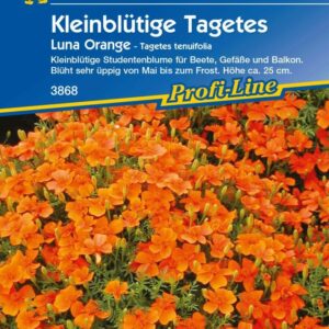 Kiepenkerl Studentenblume Luna (Gem) Orange Tagetes tenuifolia, Inhalt: ca. 80 Pflanzen