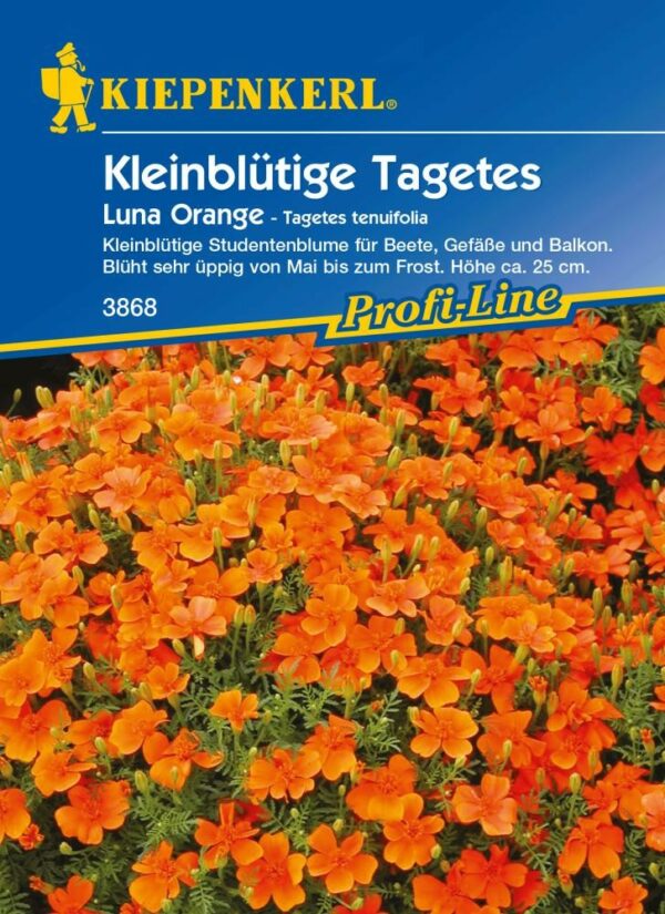 Kiepenkerl Studentenblume Luna (Gem) Orange Tagetes tenuifolia, Inhalt: ca. 80 Pflanzen