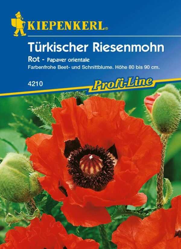 Kiepenkerl Türkischer Riesemohn Olympiafeuer Papaver orientale, Inhalt: ca. 25 Pflanzen