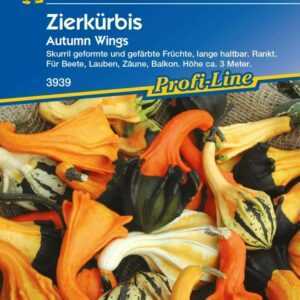 Kiepenkerl Zierkürbis Autumn Wings Cucurbita pepo, Inhalt: ca. 10 Pflanzen