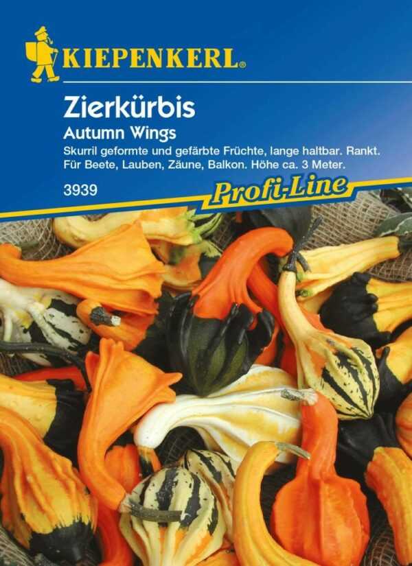 Kiepenkerl Zierkürbis Autumn Wings Cucurbita pepo, Inhalt: ca. 10 Pflanzen