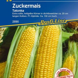 Kiepenkerl Zuckermais Tatonka Zea mays ssp. saccharata, Inhalt: 20 Korn