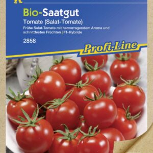 Kiepenkerl BIO Salat-Tomate F1 - 8 Korn