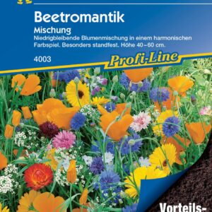 Kiepenkerl Blumenmischung Beetromantik Vorteilspack