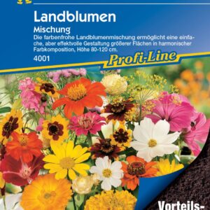 Kiepenkerl Blumenmischung Landblumen Vorteilspack