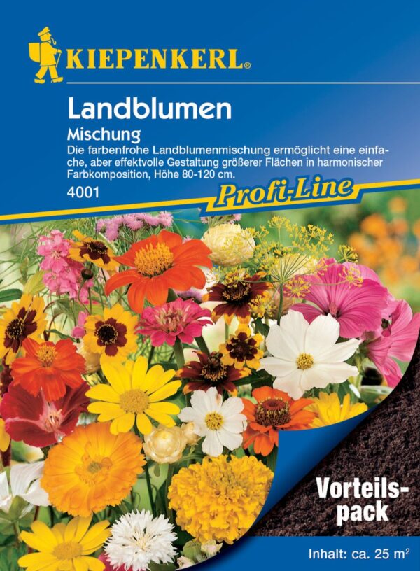 Kiepenkerl Blumenmischung Landblumen Vorteilspack