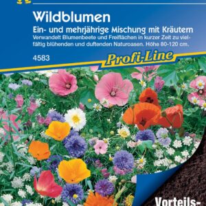 Kiepenkerl Blumenmischung Wildblumen Vorteilspack