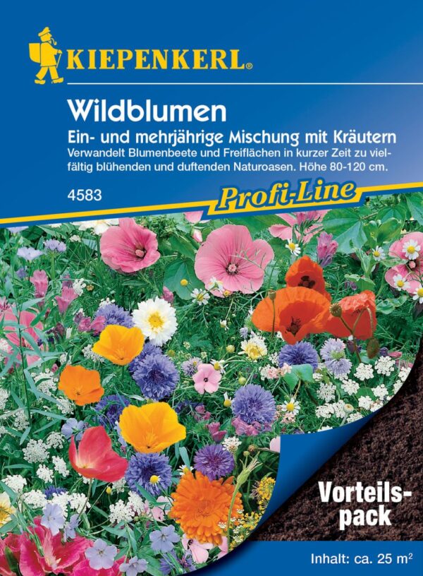 Kiepenkerl Blumenmischung Wildblumen Vorteilspack