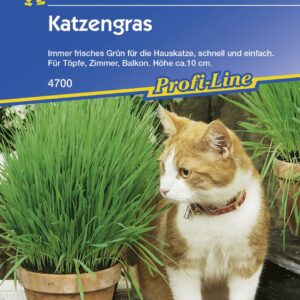 Kiepenkerl Katzengras - 10 Töpfe