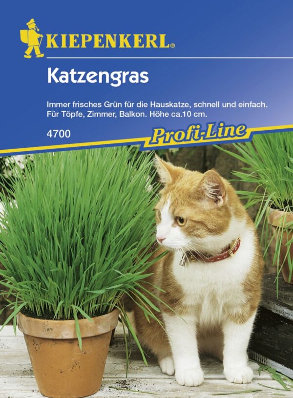 Kiepenkerl Katzengras - 10 Töpfe