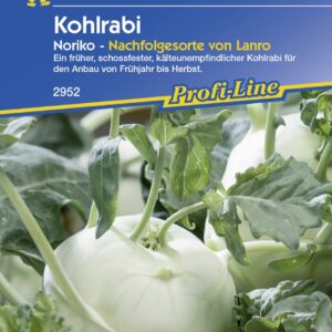 Kiepenkerl Kohlrabi Noriko ca. 50 Pflanzen