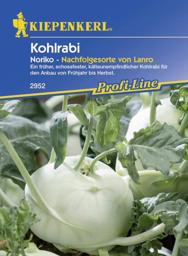 Kiepenkerl Kohlrabi Noriko ca. 50 Pflanzen