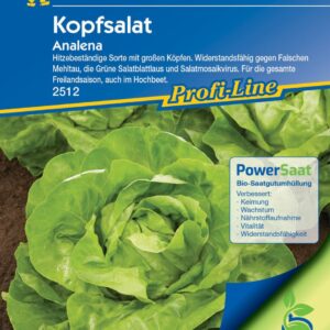 Kiepenkerl Kopfsalat Analena PowerSaat