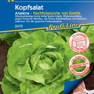 Kiepenkerl Kopfsalat Analena Saatband