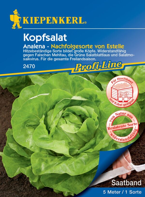 Kiepenkerl Kopfsalat Analena Saatband