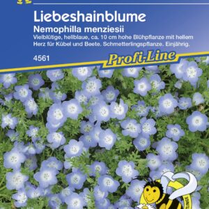 Kiepenkerl Liebeshainblume ca. 75 Pflanzen