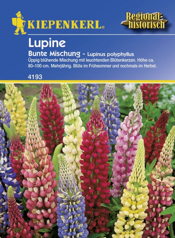 Kiepenkerl Lupine Bunte Mischung ca. 20 Pflanzen