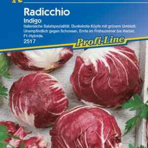 Kiepenkerl Radicchio Indigo F1