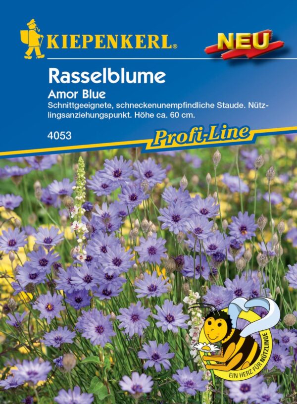 Kiepenkerl Rasselblume Amor Blue