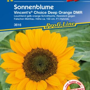 Kiepenkerl Sonnenblume Vincent's Deep Orange DMR F1