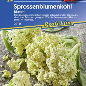 Kiepenkerl Sprossenblumenkohl Blumini, F1 ca. 15 Pflanzen