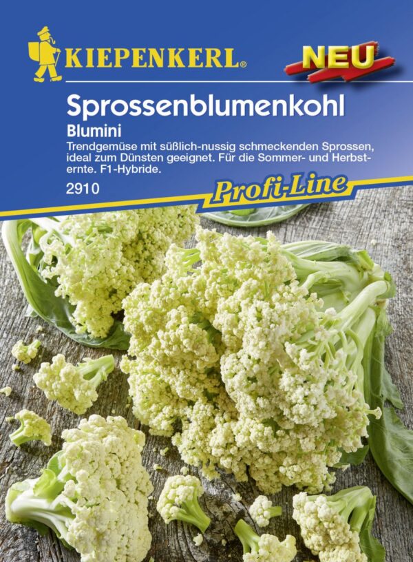 Kiepenkerl Sprossenblumenkohl Blumini, F1 ca. 15 Pflanzen