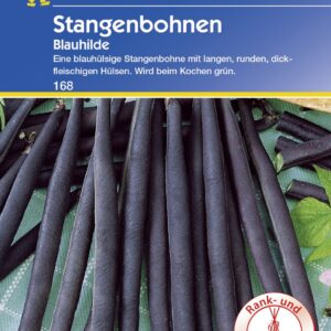 Kiepenkerl Stangenbohne Blauhilde 8-10 Stangen