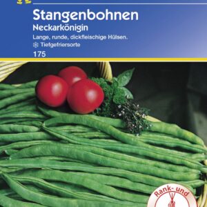 Kiepenkerl Stangenbohne Neckarkönigin 15-20 Stangen
