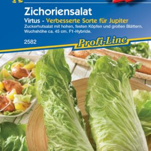 Kiepenkerl Zichoriensalat Virtus F1