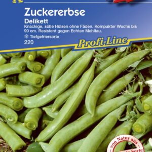 Kiepenkerl Zuckererbse Delikett 5-8 lfd. Meter