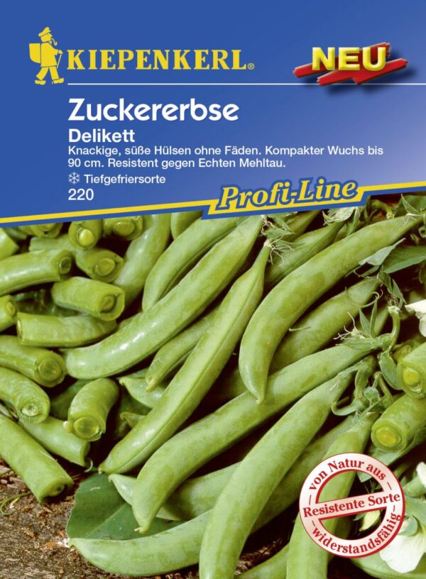 Kiepenkerl Zuckererbse Delikett 5-8 lfd. Meter