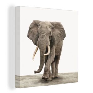 OneMillionCanvasses® Leinwandbild Elefant - Kinder - Tiere - Mädchen, (1 St), Leinwand Bilder für Wohnzimmer Schlafzimmer