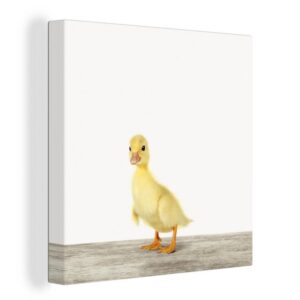OneMillionCanvasses® Leinwandbild Ente - Küken - Tiere - Süß - Mädchen - Jungen - Kinder, (1 St), Leinwand Bilder für Wohnzimmer Schlafzimmer