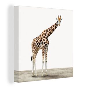 OneMillionCanvasses® Leinwandbild Giraffe - Tiere - Weißer Hintergrund - Kinder - Junge - Mädchen, (1 St), Leinwand Bilder für Wohnzimmer Schlafzimmer